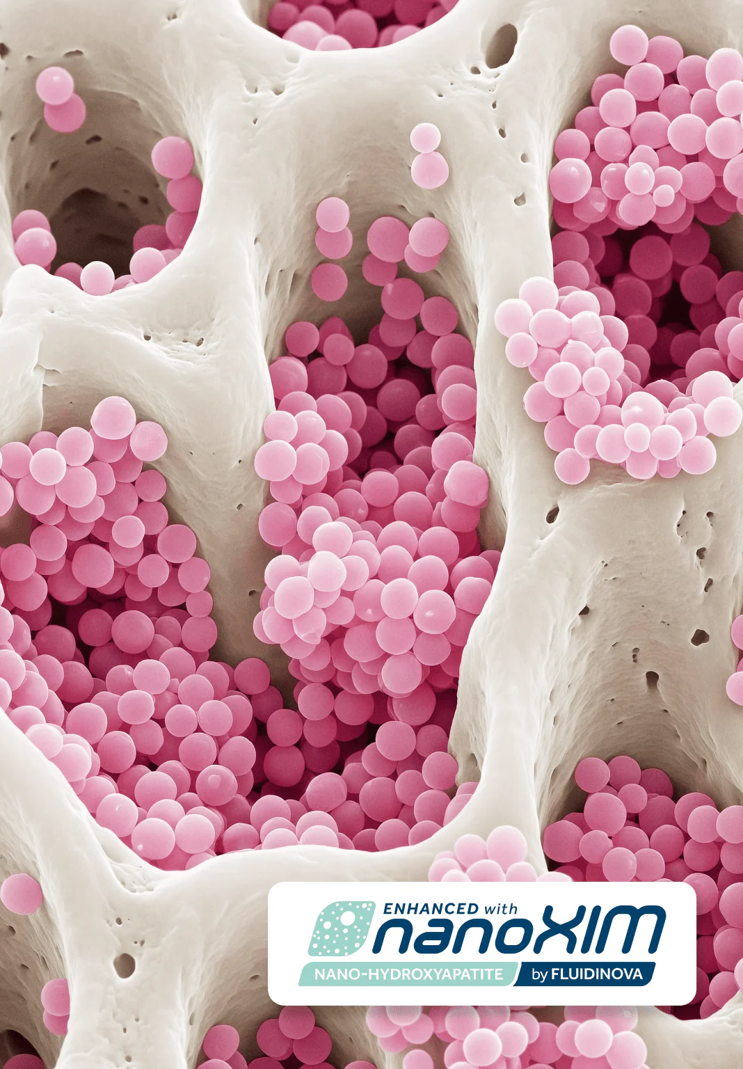 Tooth Armour Toothpaste Serum - Image 4